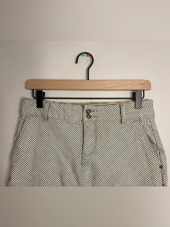 Women’s Anthropologie Pilcro & Letterpress Railroad Denim Striped Skirt size 25 - Picture 4 of 9